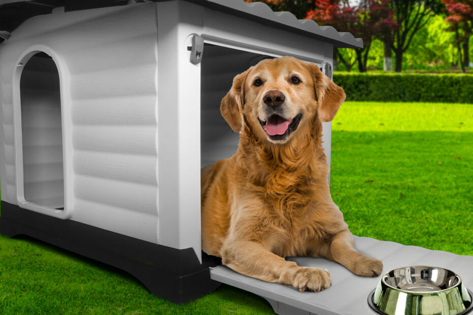 10 Casas para perros con algo más que madera y plástico