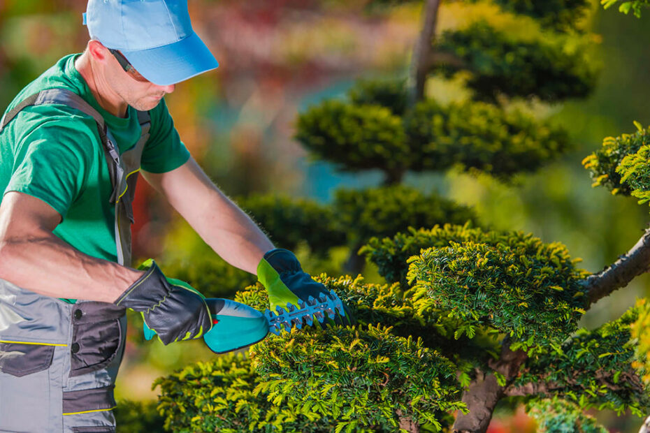 Las 8 herramientas de jardinería imprescindibles