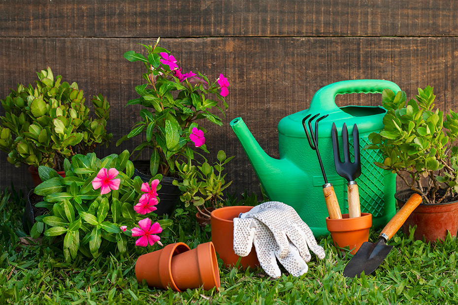 come progettare un giardino